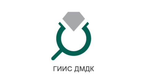 ГИИС ДМДК лого